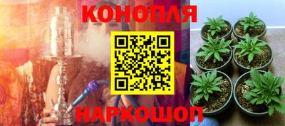 дживик Гудермес