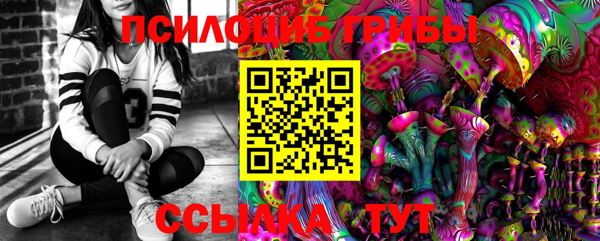 Гулькевичи  Псилоцибиновые грибы Psilocybine cubensis  Вход с VPN 