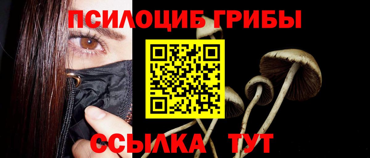 Галлюциногенные грибы мухоморы Гулькевичи